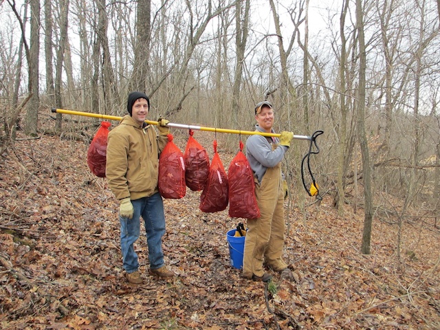 Andy-Schmitz-and-Jeff-Carstens-with-part-of-their-bounty-of-Kentucky-Coffeetree-March-2013