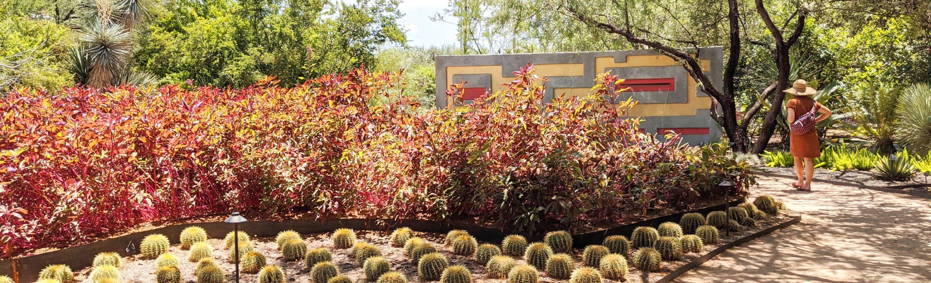 Tucson Botanical Garden