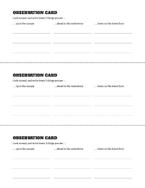 observation handout with no images