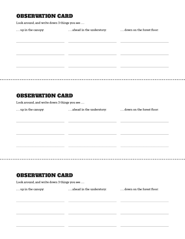 observation handout with no images