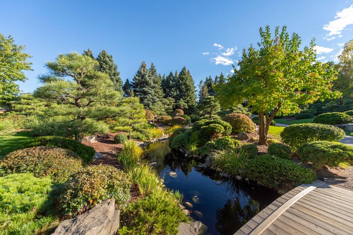 Denver Botanic Gardens - Japanese Garden