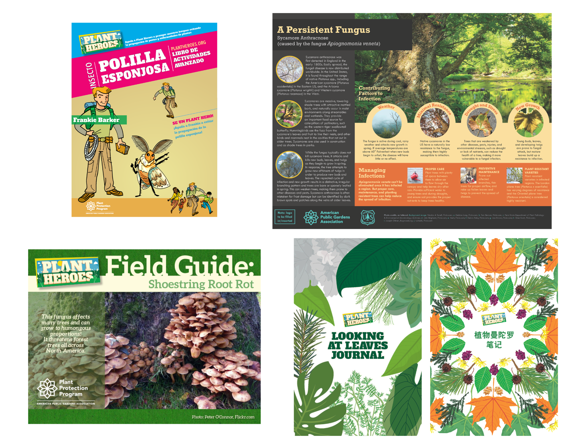 Cover images of educational materials available in the Plant Protection Program Store